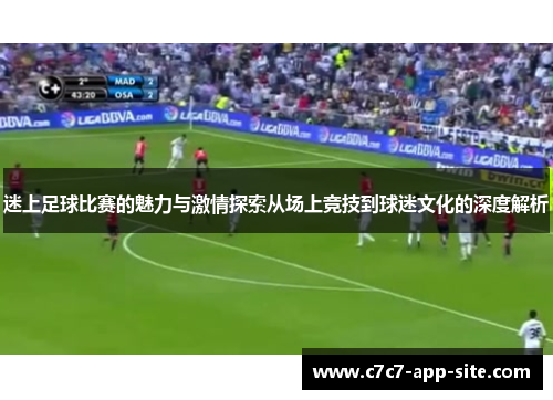 迷上足球比赛的魅力与激情探索从场上竞技到球迷文化的深度解析